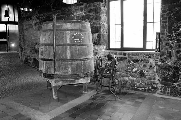 Wall Art - Photograph - Port barrel and fruit press by Lukasz Ryszka