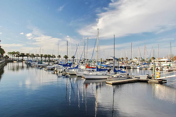 Wall Art - Photograph - Port of Sanford by Pamela Williams