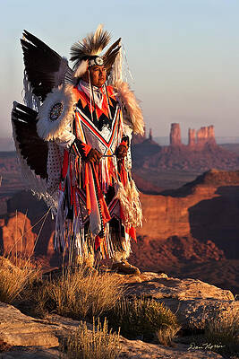 Wall Art - Photograph - Portrait of a Fancy Dancer by Dan Norris
