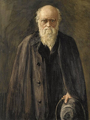 Portrait of Charles Darwin Print by John Collier