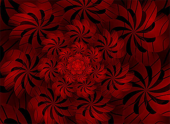 Positively Red by Barbara A Lane Positively Red by Barbara A Lane