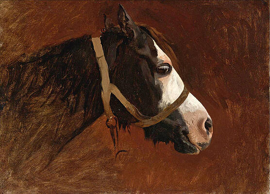 Profile of a Horse Print by Jean-Leon Gerome