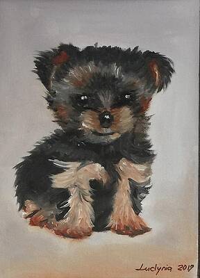 PUPPY F by RYSZARD LUDYNIA PUPPY F by RYSZARD LUDYNIA