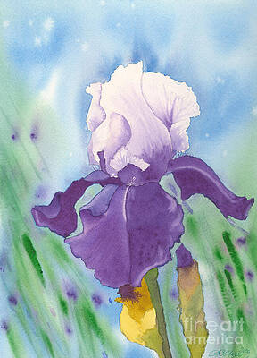 Irises Paintings (Page #31 of 35) | Fine Art America