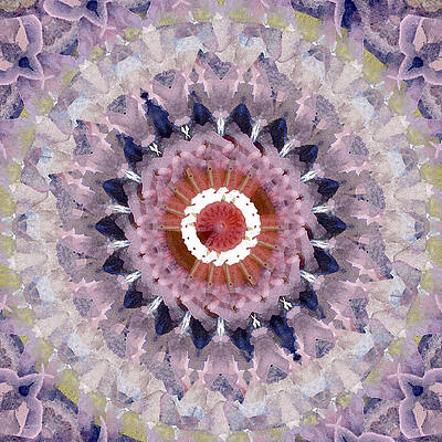 https://render.fineartamerica.com/images/images-profile-flow/400/images/artworkimages/mediumlarge/1/purple-mosaic-mandala-abstract-art-by-linda-woods-linda-woods.jpg