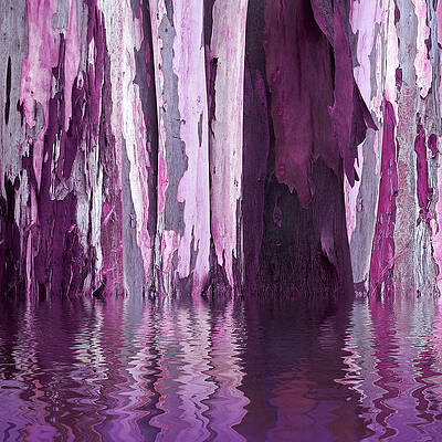 Beach Plum Art Fine Art America
