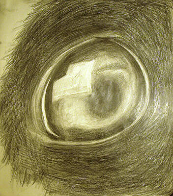 Wall Art - Drawing - Rabits Eye by Erik Paul