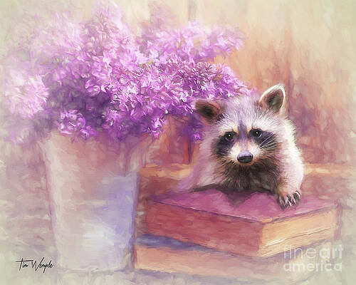 Raccoon Reader by Tim Wemple Raccoon Reader by Tim Wemple