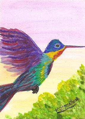 Rainbow Hummingbird by Vicki Maheu Rainbow Hummingbird by Vicki Maheu