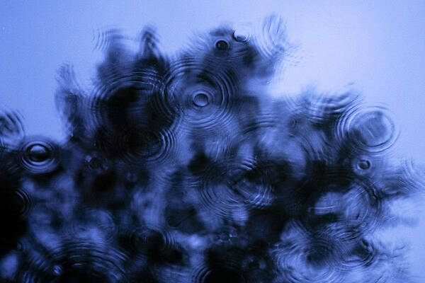 Raindrops by Nicole Swanger Raindrops by Nicole Swanger