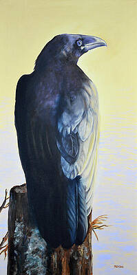 Raven by Tom Morgan Raven by Tom Morgan