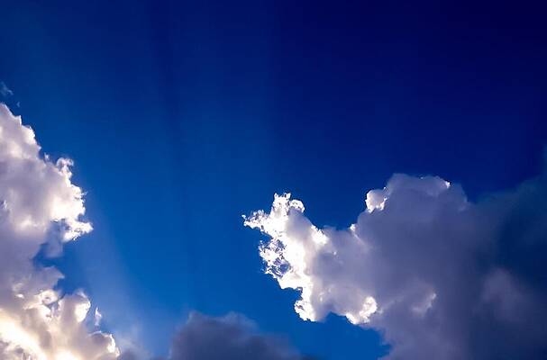 RAYS by Michael Melillo RAYS by Michael Melillo