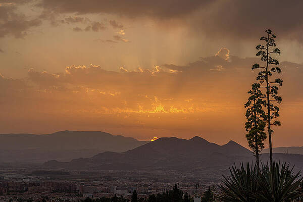 Rays of light by Joao Nuno Dias