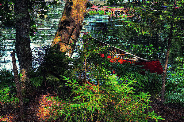 Wall Art - Photograph - Ready to Explore by David Patterson