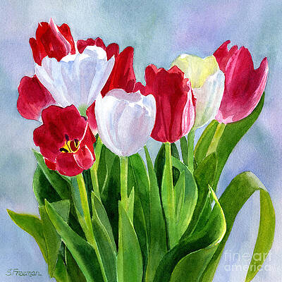 Tulip Watercolor Paintings (Page #2 of 35) - Fine Art America