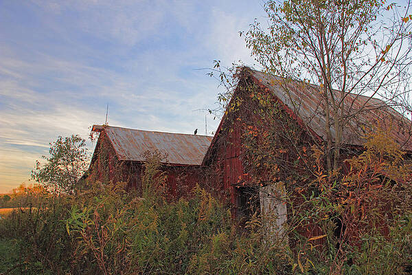 Wall Art - Photograph - Red Barn at Sunset by Angela Murdock