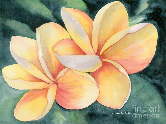Red Gold - Plumeria Watercolor by Hao Aiken Red Gold - Plumeria Watercolor by Hao Aiken