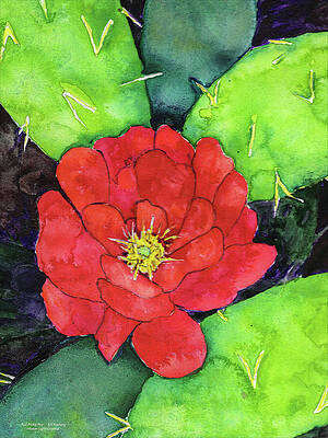 Red Prickly Pear by Jeff Kastning Red Prickly Pear by Jeff Kastning