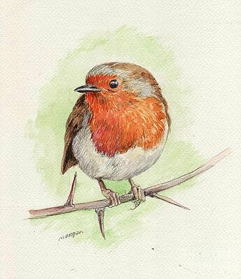 Red Robin by Morgan Fitzsimons Red Robin by Morgan Fitzsimons