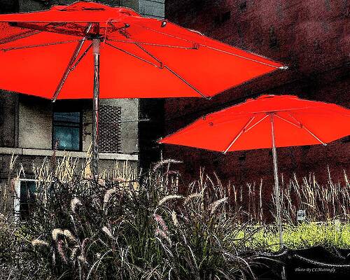 Wall Art - Photograph - Red Umbrellas in Chicag by Coke Mattingly