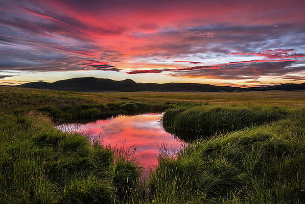 Redondo Reflections by Andrew Gordon Redondo Reflections by Andrew Gordon