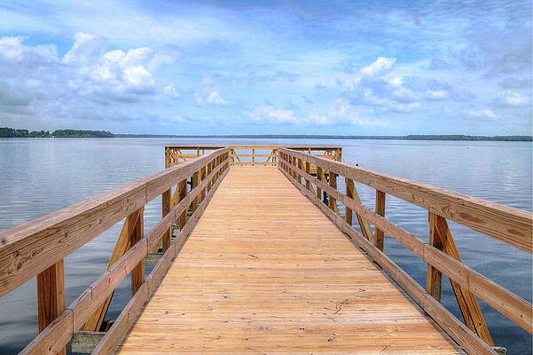 Reelfoot lake by Joe Machuta
