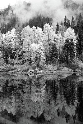 Reflected Glories by Jenny Mead Reflected Glories by Jenny Mead