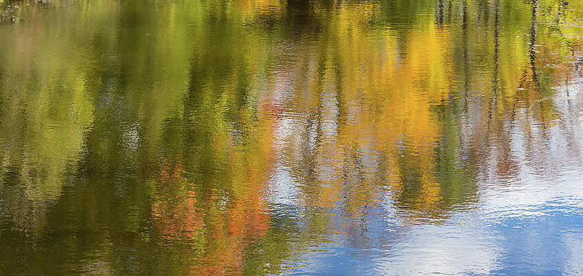 Reflection of fall #1, abstract by Peter Pauer Reflection of fall #1, abstract by Peter Pauer