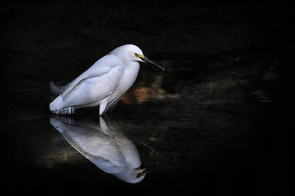 Wall Art - Photograph - Reflections Of......... by Ghostwinds Photography