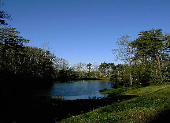 Relaxing by the Pond by Patrick Murphy Relaxing by the Pond by Patrick Murphy