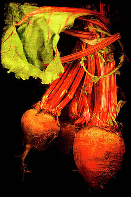 Wall Art - Photograph - Renaissance Beetroot by Jennifer Wright