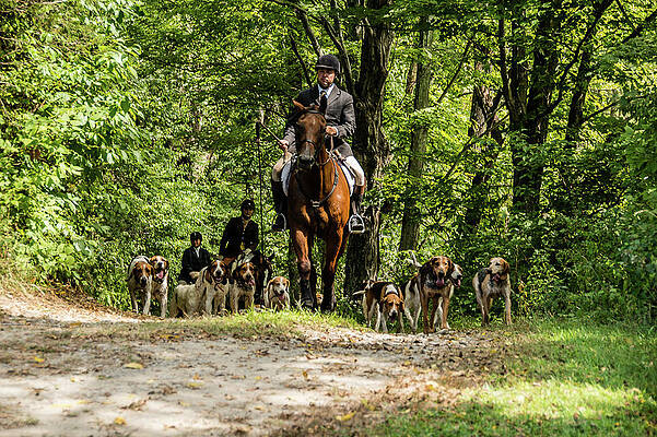 Returning Home by Pamela Taylor Returning Home by Pamela Taylor