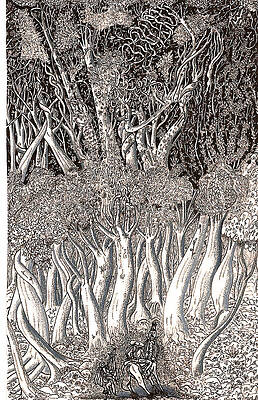 Wall Art - Drawing - Revolution In Shitaki Forest by Al Goldfarb
