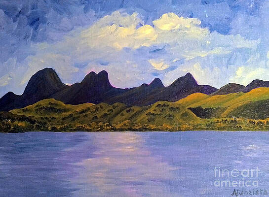 Rice Field Below Sutter Suttes by Nancy McNamer