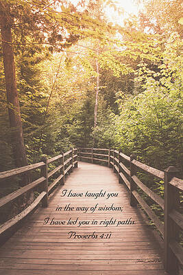 Wall Art - Photograph - Right Paths Proverbs 4 11 by Joann Copeland-Paul