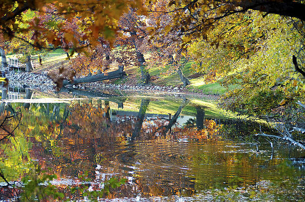 Ripples in an Autumn Lake by Lynn Hansen Ripples in an Autumn Lake by Lynn Hansen
