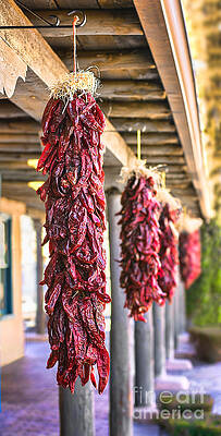 Wall Art - Photograph - Ristra by Susan Warren