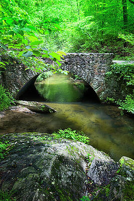 Wall Art - Photograph - River Bridge Series Y6536 by Carlos Diaz