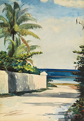 Road in Nassau, No. 1 Nassau Street Print by Winslow Homer