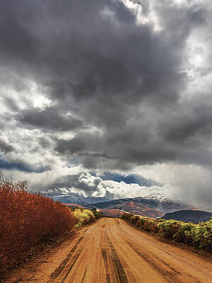 Road Less Traveled Tall by Steven Maxx Road Less Traveled Tall by Steven Maxx