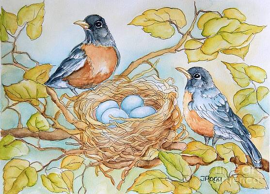 Robins nest by Inese Poga Robins nest by Inese Poga