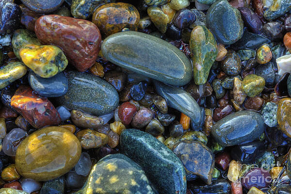 Rocky Beach by John Sandiford Rocky Beach by John Sandiford