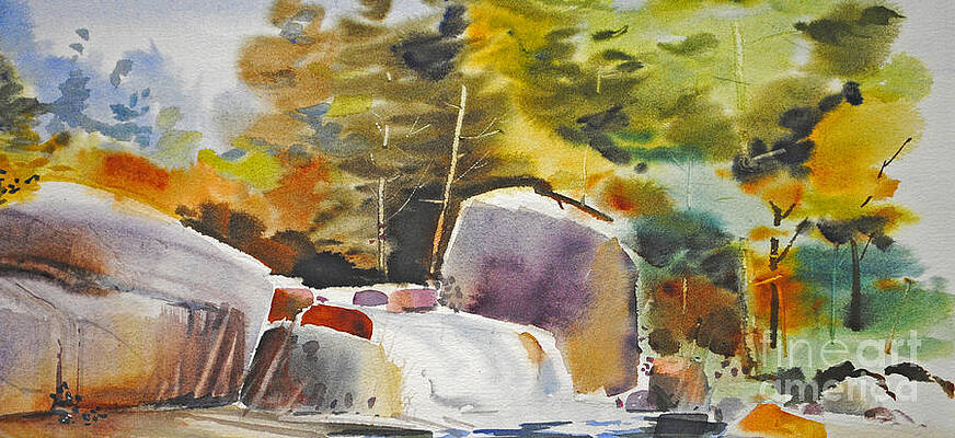 Back Country Paintings Fine Art America
