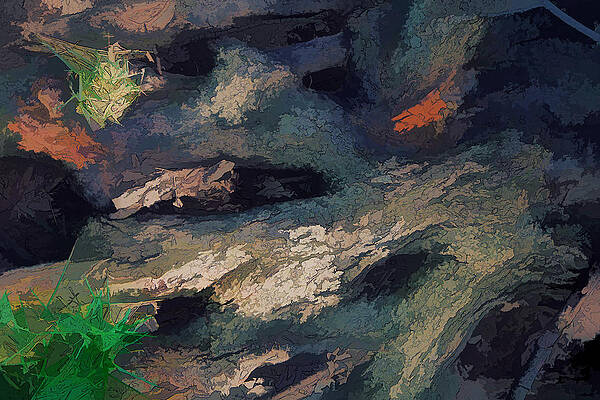 Wall Art - Photograph - Root Abstract DP by Kevin Anderson