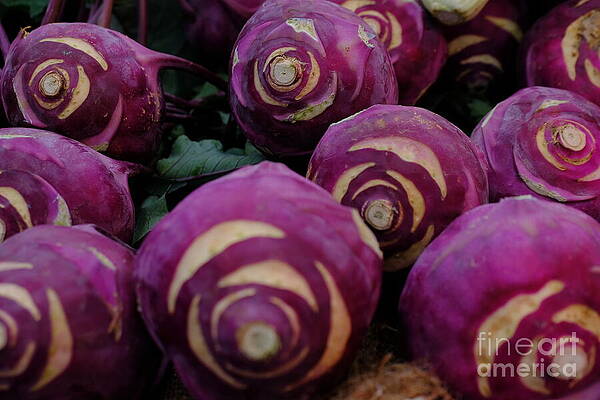 Root Vegetables by Jessica Myscofski