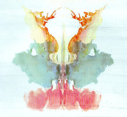 Wall Art - Photograph - Rorschach Test Card No. 9 by Science Source