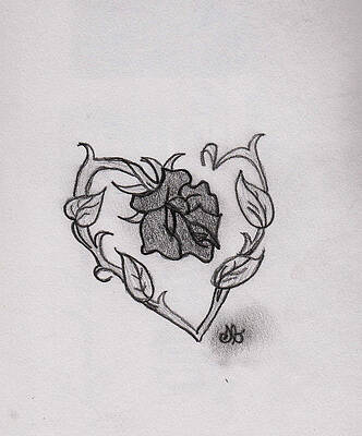 Wall Art - Drawing - Rose Heart by Shania Brown