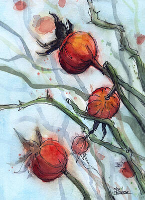 Roses Watercolor Paintings Fine Art America