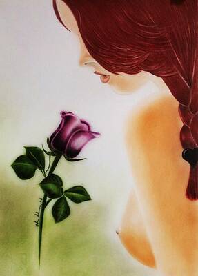 Wall Art - Drawing - Rose   by Ida Ambrosio
