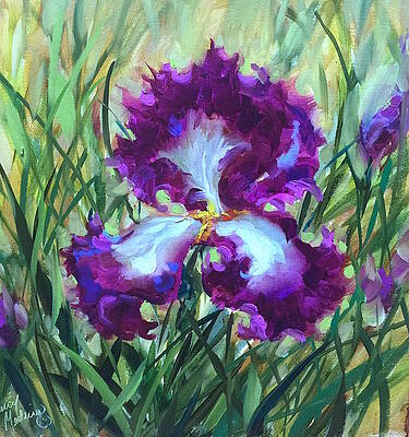 Iris Paintings (Page #9 of 35) | Fine Art America